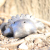 Dinosaur Turtle Whistle