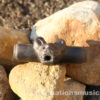Jaguar transverse whistle
