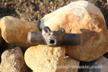 Jaguar transverse whistle