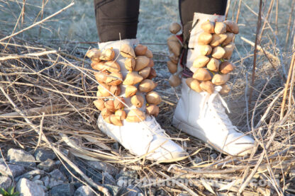 Aztec Dancer Foot Rattle Chachayotes Huesos - Image 5