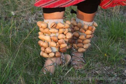 Aztec Dancer Foot Rattle Chachayotes Huesos