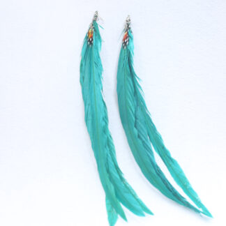 long quetzal style feathers