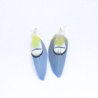 macaw feather earrings blue and gold amazon