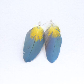 macaw feather earrings blue and gold