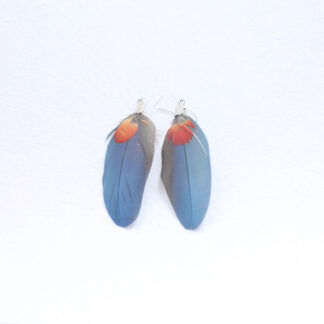 macaw feather earrings blue and red